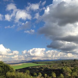 תמונה של שמים כחולים מעל השדות והיערות של כרמי יוסף