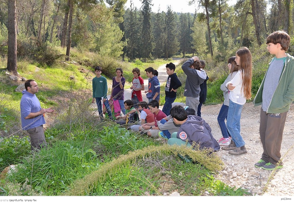 הנוער מקשיב להסברים על מה מלקטים, ואיך. צילום: גלית לוינסקי