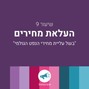 שיעור 9 עליית מחירים תעשי לי מחיר