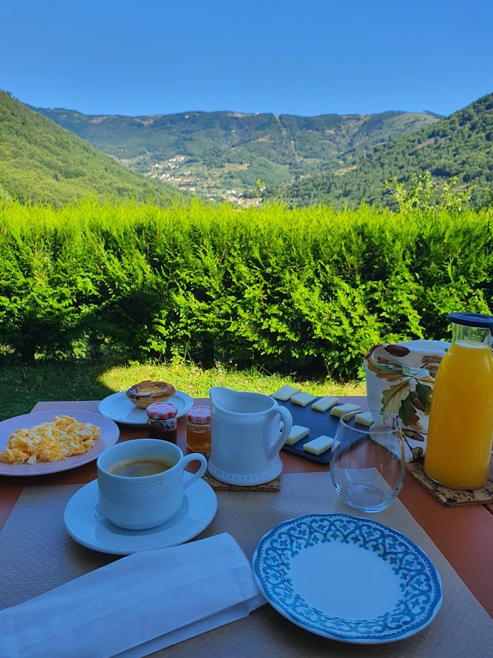 שולחן של ארוחת בוקר, עם קפה, חביתה, מאפה ומיץ תפוזים על רקע של נוף ירוק
