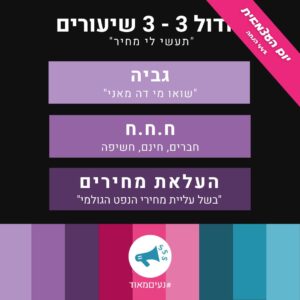 מודול 3 תעשי לי מחיר